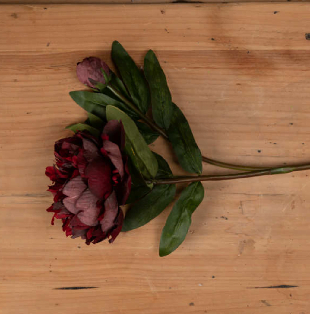2020-Hill Interiors Burgundy Peony Rose