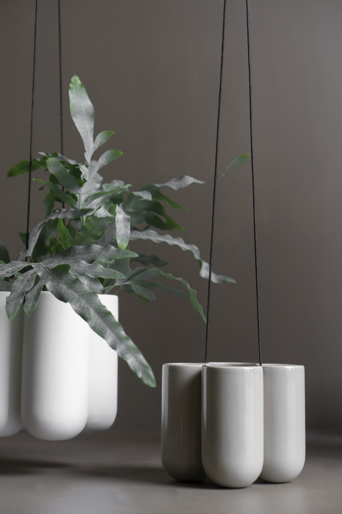 DBKD More Hanging White Group 20210401w
