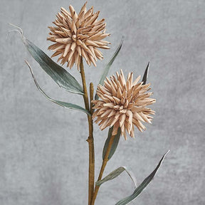 Globe-Thistle-Abigail-Ahern-3