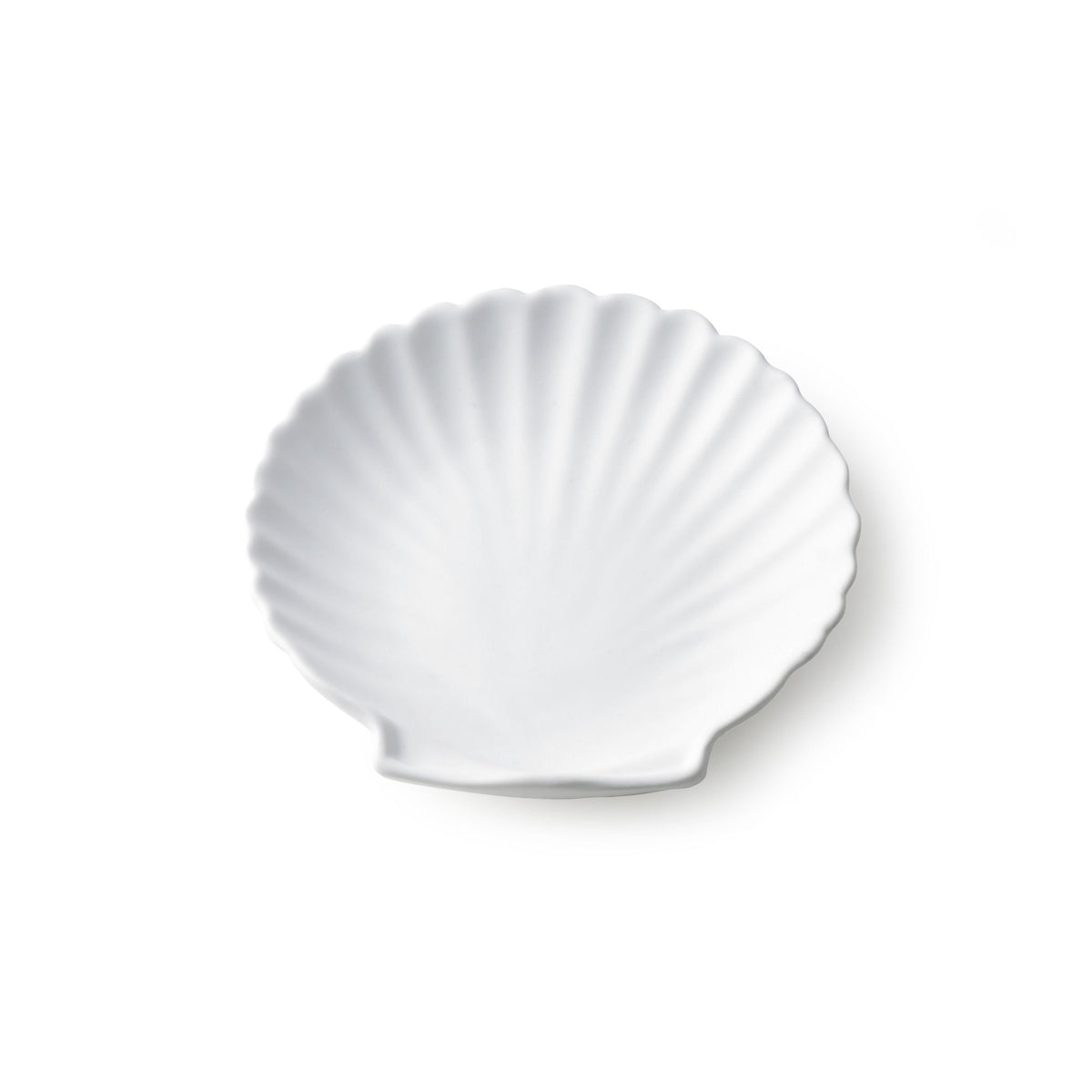 HK LIiving ceramic shell tray m whiteace6849-hr_04