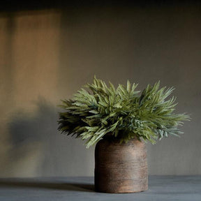 Mimosa-Grass_Massin-Vase