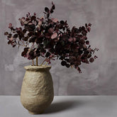 Smoke-Bush-Abigail-Ahern