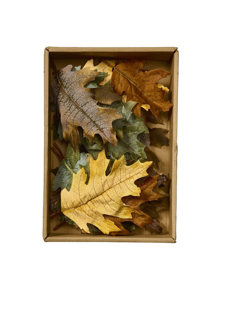 Wikholmform Box With Leaves 35629
