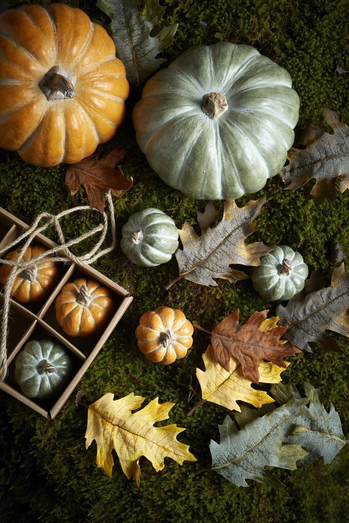 Wikholmform Box With Leaves Mix Group 35629