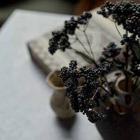 Wild-Berry-Stem-Midnight-Abigail-Ahern-1