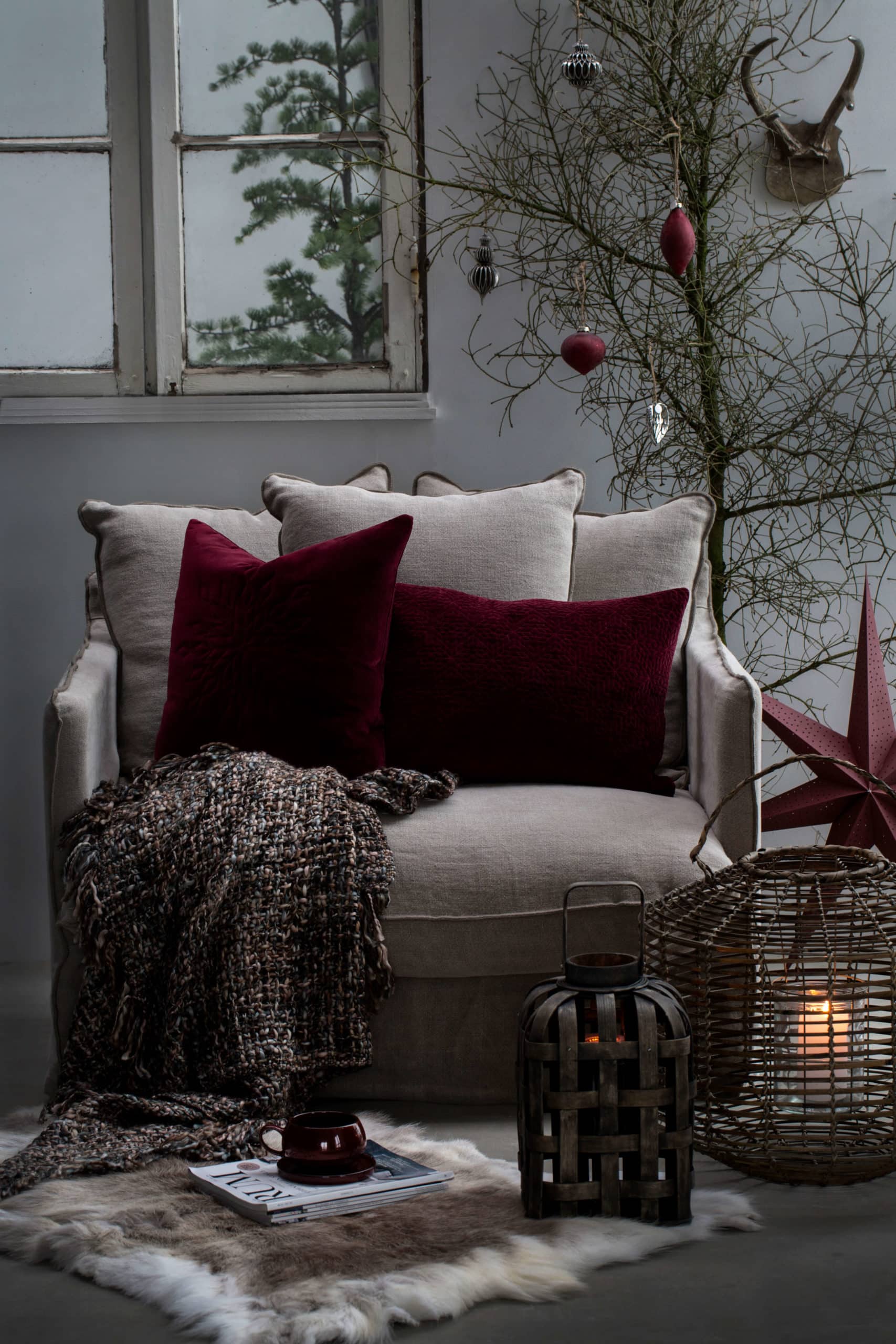 icilinia-star-80-cm2 pom