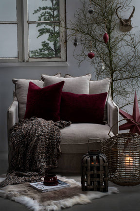 icilinia-star-80-cm2 pom