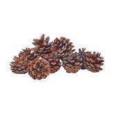 House Doctor Coney Pine Cones